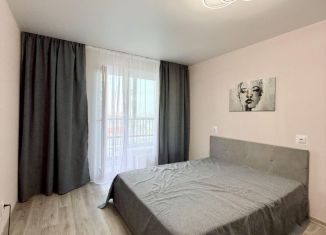 Квартира в аренду студия, 26.5 м2, Санкт-Петербург, Полевая Сабировская улица, 45к1