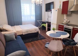 Сдам 1-комнатную квартиру, 30 м2, Нижний Новгород, проспект Гагарина, 101к2