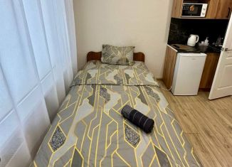 Сдача в аренду квартиры студии, 18 м2, Зеленоград, Зеленоград, к405