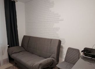 Однокомнатная квартира в аренду, 30 м2, Бугры