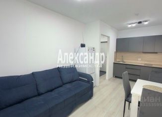 Однокомнатная квартира в аренду, 34.14 м2, Бугры