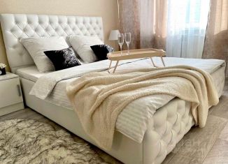 Сдается однокомнатная квартира, 21 м2, Барнаул, Полярная улица, 48