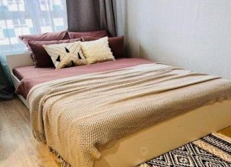 Сдается в аренду 1-комнатная квартира, 25 м2, Республика Башкортостан