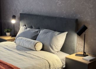 Сдаю в аренду 2-комнатную квартиру, 55 м2, Пермь