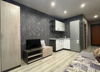 Сдам в аренду квартиру студию, 21 м2, Барнаул, проспект Строителей, 18