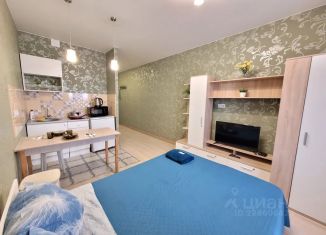 Сдача в аренду 1-ком. квартиры, 24 м2, Барнаул, проспект Строителей, 18