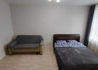 Сдача в аренду 1-ком. квартиры, 33 м2, Республика Башкортостан, бульвар Давлеткильдеева, 20