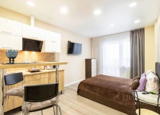 Сдаю 1-комнатную квартиру, 24 м2, Барнаул, проспект Строителей, 18
