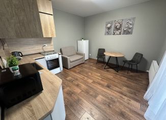 Аренда однокомнатной квартиры, 41 м2, Нижегородская область, 12-й микрорайон, 3