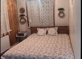 Аренда однокомнатной квартиры, 40 м2, село Поляны, Совхозная улица, 2В