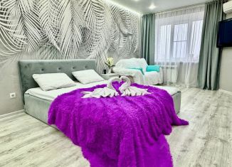 Сдается 1-ком. квартира, 46 м2, Волгоград, улица Маршала Ерёменко, 42