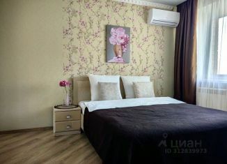 Сдам однокомнатную квартиру, 40 м2, Брянск, улица Дуки, 27