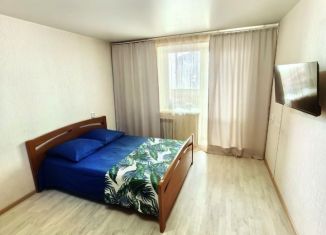 Сдам в аренду 1-комнатную квартиру, 40 м2, Волгоград, улица Маршала Ерёменко, 42, Краснооктябрьский район
