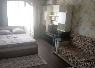 Однокомнатная квартира в аренду, 36 м2, Волгоград, улица Маршала Ерёменко, 110, Краснооктябрьский район