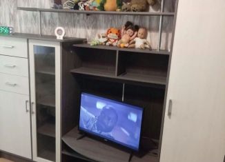 Сдача в аренду 2-комнатной квартиры, 45.5 м2, Барнаул, улица Чудненко, 9