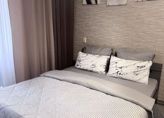 Сдам в аренду 1-ком. квартиру, 46 м2, Кемерово, Советский проспект, 55