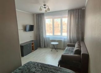 Сдам в аренду 1-комнатную квартиру, 40 м2, Смоленск, улица Маршала Ерёменко, 10