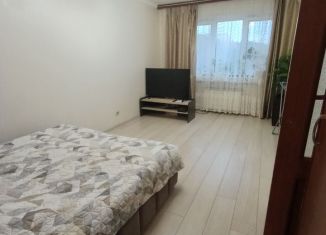 Сдача в аренду 1-комнатной квартиры, 40 м2, Смоленск, улица Маршала Ерёменко, 54