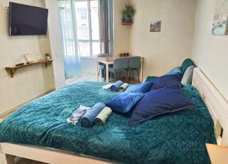 Сдаю квартиру студию, 27 м2, Севастополь, улица Челнокова, 19Ак3