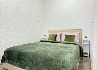 Аренда однокомнатной квартиры, 32 м2, Липецк, улица Б. Хмельницкого, 3