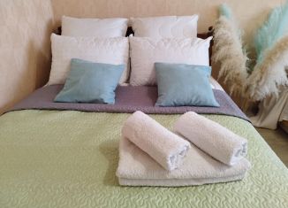 Сдаю в аренду 1-ком. квартиру, 28.7 м2, Коми, проезд Строителей, 19