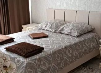 Сдам 1-ком. квартиру, 30 м2, Моздок, улица Савельева, 4А