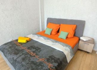 1-комнатная квартира в аренду, 36 м2, Псков, улица Крестки, 3