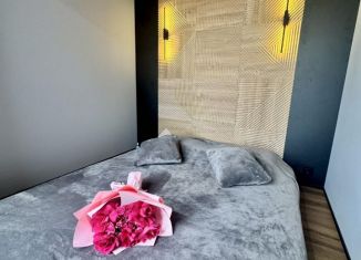 Сдача в аренду квартиры студии, 50 м2, Самара, улица Победы, 3Б, Советский район