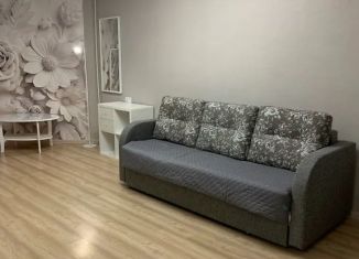 Сдача в аренду 1-комнатной квартиры, 35 м2, Карелия, улица Титова, 2