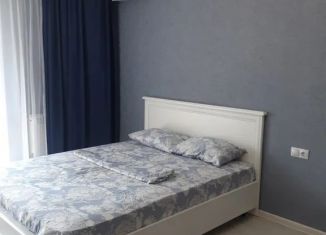 Сдается в аренду однокомнатная квартира, 35 м2, Абакан, улица Богдана Хмельницкого, 155