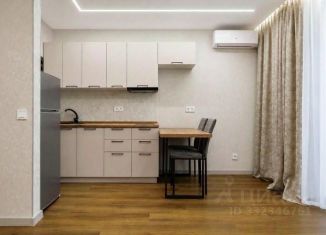 Сдача в аренду однокомнатной квартиры, 30 м2, село Чигири, улица Василенко, 5/4