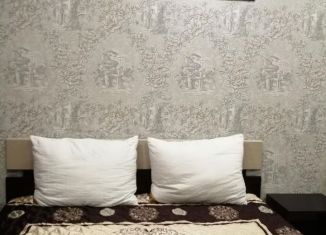 Аренда 2-комнатной квартиры, 45 м2, Бердск, улица Рогачёва, 32