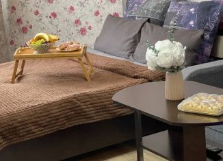 Аренда 1-комнатной квартиры, 32 м2, Мурманская область, улица Флотских Строителей, 6