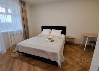 Квартира в аренду студия, 27 м2, село Чигири, улица Василенко, 3/4