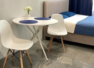 Сдаю квартиру студию, 25 м2, Самара, 4-й проезд, 67, Октябрьский район