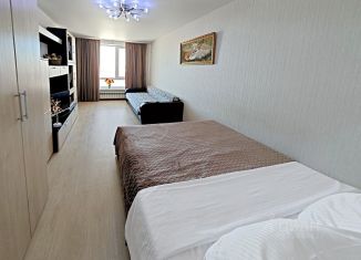 Сдача в аренду однокомнатной квартиры, 38 м2, Самара, Красноглинский район, микрорайон Крутые Ключи, 38