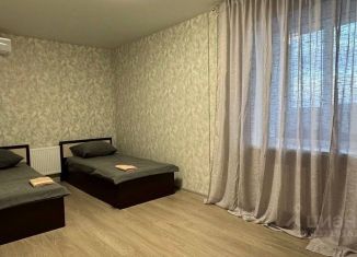 Сдам в аренду 2-комнатную квартиру, 55 м2, Самарская область, улица Мечникова, 3