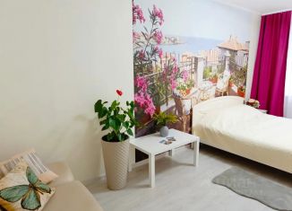 1-ком. квартира в аренду, 33 м2, Псков, улица Майора Доставалова, 1