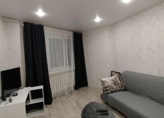 Сдача в аренду двухкомнатной квартиры, 47 м2, Мурманск, проезд Михаила Ивченко, 5