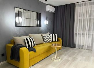 Аренда 1-комнатной квартиры, 31 м2, село Чигири, улица Василенко, 1/3