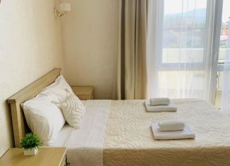 Сдается в аренду квартира студия, 35 м2, Сочи, переулок Богдана Хмельницкого, 14А, микрорайон Центральный