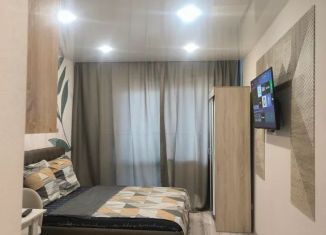 Квартира в аренду студия, 25 м2, Алтайский край, проспект Строителей, 18