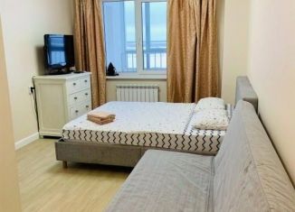 Сдается в аренду 1-комнатная квартира, 41 м2, Якутск, улица Строда, 9, микрорайон Залог