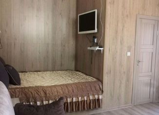Сдача в аренду однокомнатной квартиры, 22 м2, Карелия
