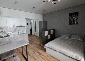 Сдаю в аренду квартиру студию, 31 м2, Гатчина, улица Чехова, 41