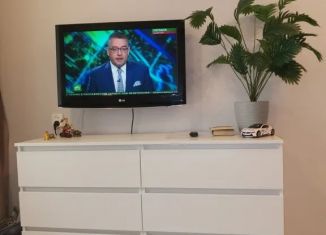 Аренда однокомнатной квартиры, 30 м2, Лодейное Поле, проспект Ленина, 33