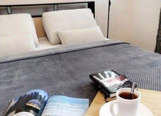 Сдам 2-комнатную квартиру, 55 м2, Абакан, улица Богдана Хмельницкого, 102