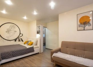 1-ком. квартира в аренду, 31 м2, Северодвинск, улица Карла Маркса, 10