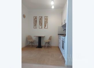 Сдам в аренду 1-ком. квартиру, 28 м2, Бугры, улица Шекспира, 1к1