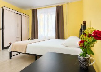 Однокомнатная квартира в аренду, 37 м2, Гатчина, Шведский проезд, 1
